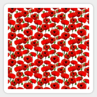 Poppy Pattern Sticker